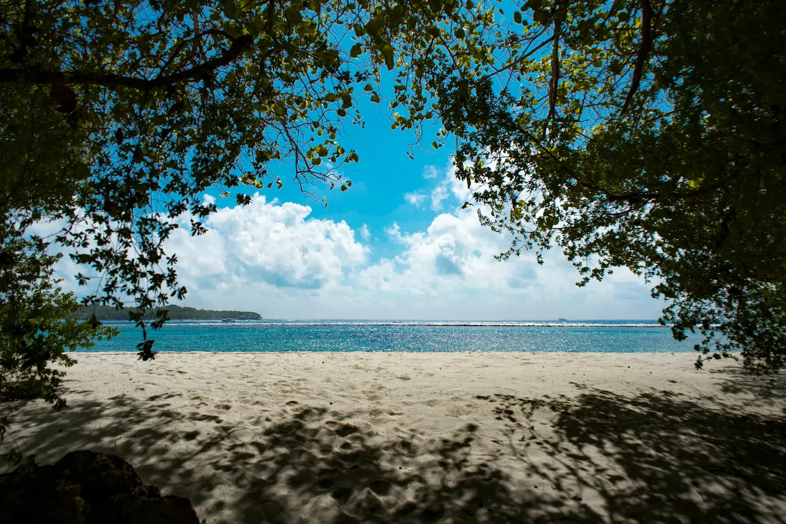 A white-sand beach seen through the trees. Photo by Bark on Unsplash