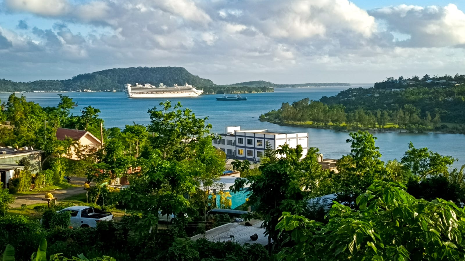 A cruise ship anchored offshore in a blue island harbour, viewed over green neighbourhood gardens.